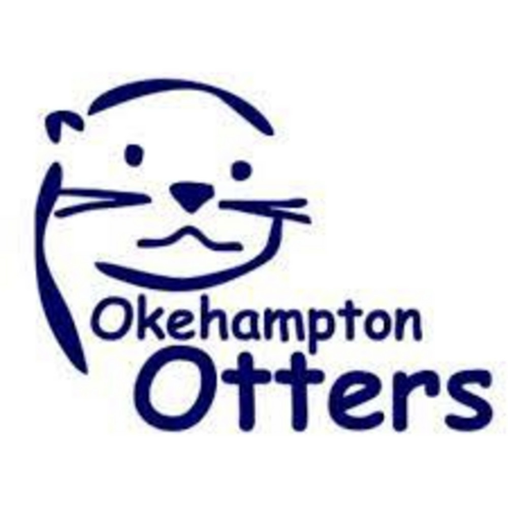 Okehampton Otters Are Seeking Additional Level 2 Coaches | Swim England